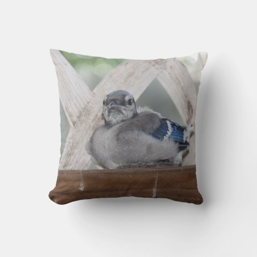 Baby Blue Jay Pillow Kussen (Voorkant)