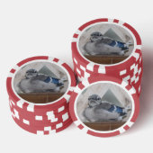 Baby Blue Jay Poker Chips (Opstapeling)