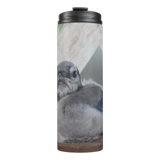 Baby Blue Jay Thermal Tumbler Thermosbeker (Voorkant)
