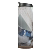 Baby Blue Jay Thermal Tumbler Thermosbeker (Geroteerd rechts)
