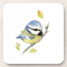 Baby Blue tit Bird