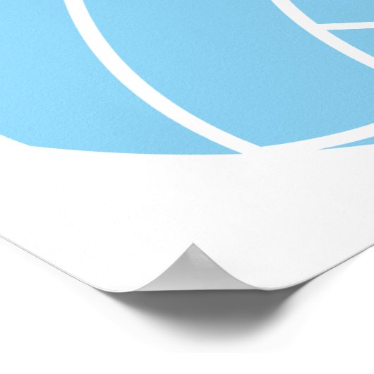 Baby Blue Volleyball Poster (Hoek)