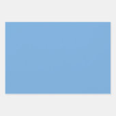 Baby Blue Wrapping Paper Sheets (Voorkant 2)