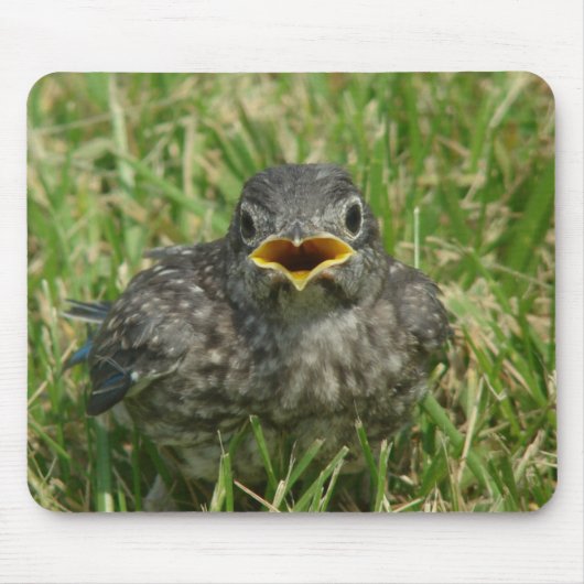 Baby Bluebird Muismat (Voorkant)