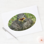 Baby Bluebird Ovale Sticker (Envelop)