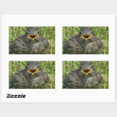 Baby Bluebird Rechthoekige Sticker (Vel)