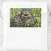 Baby Bluebird Rechthoekige Sticker (Tas)