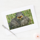 Baby Bluebird Rechthoekige Sticker (Envelop)