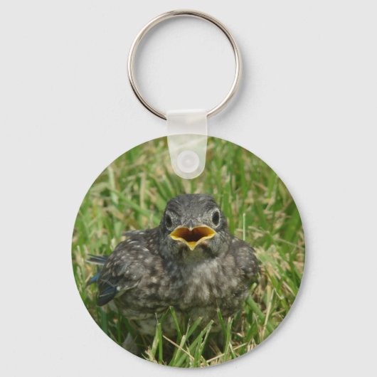 Baby Bluebird Sleutelhanger (Voorkant)