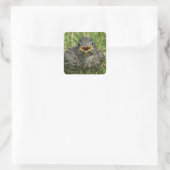 Baby Bluebird Vierkante Sticker (Tas)