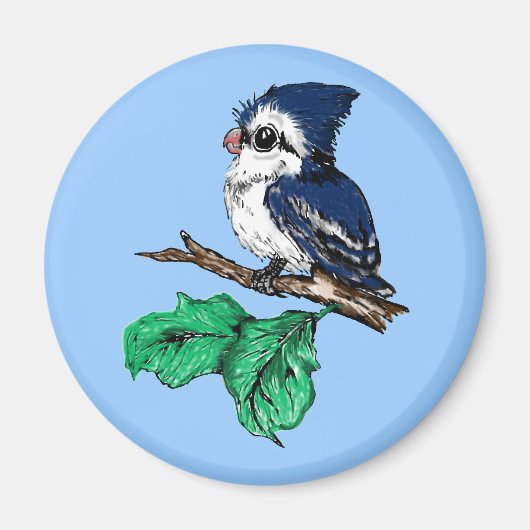 Baby Bluejay Magnet (Voorkant)
