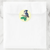 Baby Bluejay Stickers (Tas)