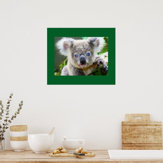 "Baby Blues" Koala Poster (Keuken)