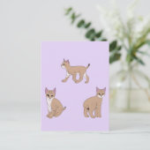 Baby Bobcats Briefkaart (Staand voorkant)