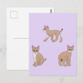 Baby Bobcats Briefkaart (Voorkant / Achterkant)