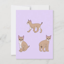 Baby Bobcats Briefkaart