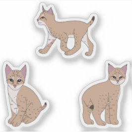 Baby Bobcats Sticker