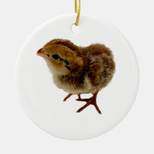 Baby Bobwhite Quail Keramisch Ornament