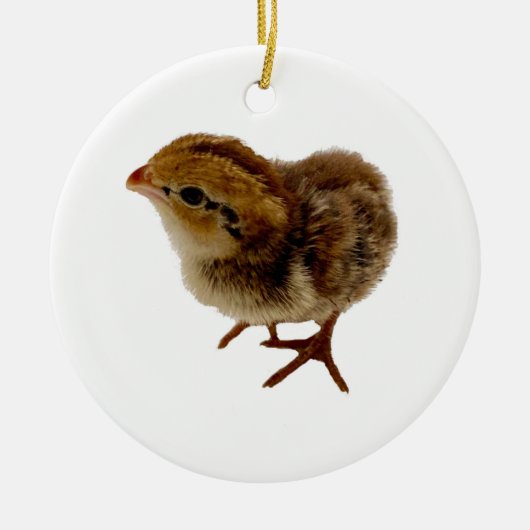 Baby Bobwhite Quail Keramisch Ornament (Voorkant)