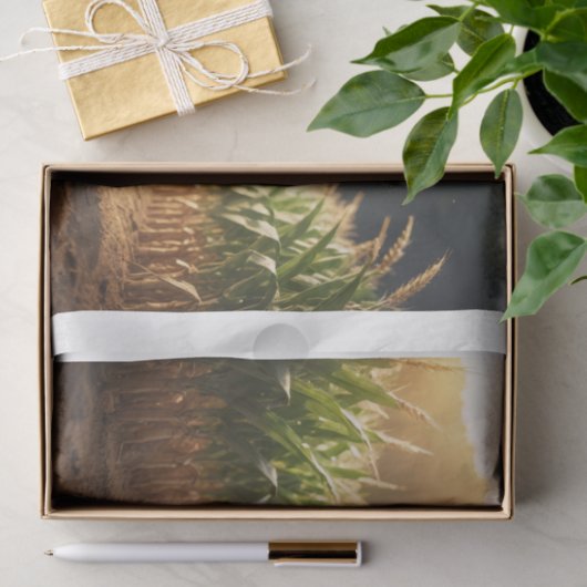 Baby Boerderijdieren: jonge koe Tissuepapier (Geschenk)