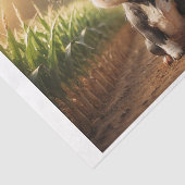 Baby Boerderijdieren: jonge koe Tissuepapier (Detail)