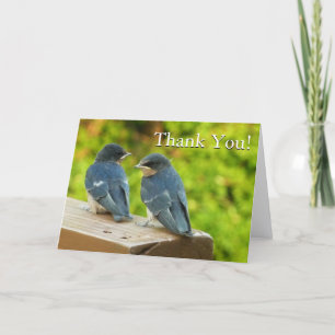 Baby Boerderijzwaluwen Natuur Vogel Fotografie Bedankkaart