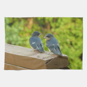 Baby Boerderijzwaluwen Natuur Vogel Fotografie Theedoek