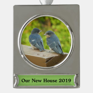 Baby Boerderijzwaluwen Natuur Vogel Fotografie Verzilverd Banner Ornament