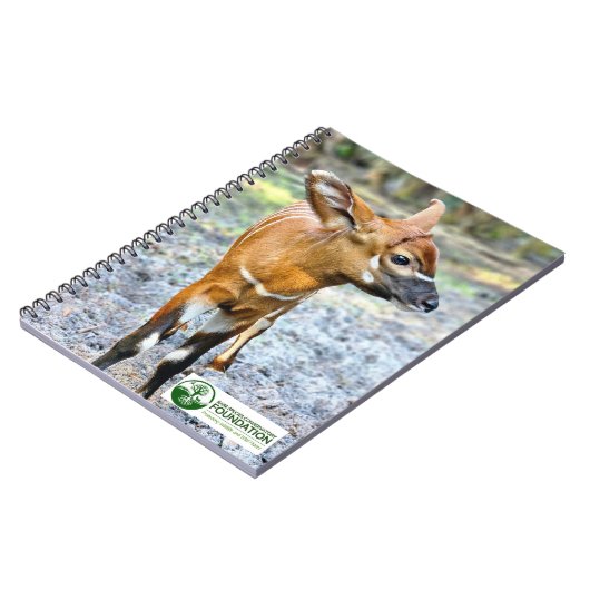 Baby Bongo Notitieboek (Linkerzijde)