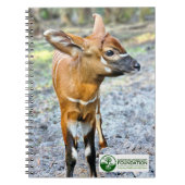 Baby Bongo Notitieboek (Voorkant)