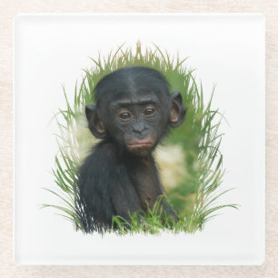 Baby Bonobo Ape Glazen Onderzetter