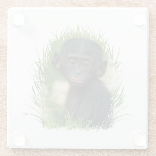 Baby Bonobo Ape Glazen Onderzetter (Achterkant)