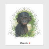Baby Bonobo Ape Sticker (Vel)