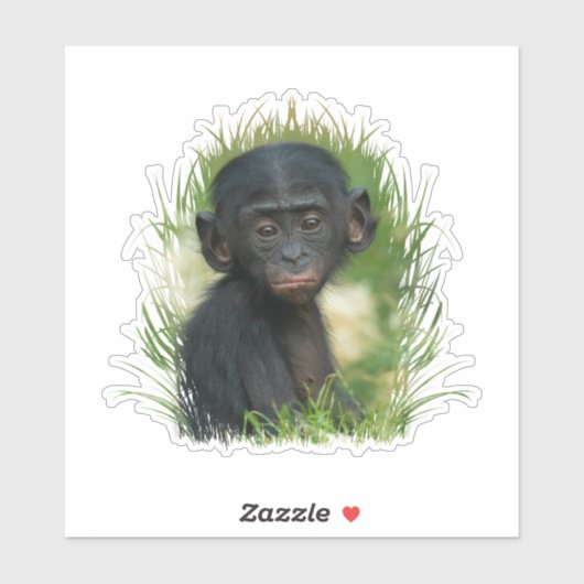 Baby Bonobo Ape Sticker (Vel)