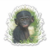 Baby Bonobo Ape Sticker (Voorkant)