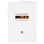 Baby Boomers - Hips die links en rechts worden ver (Achterkant)