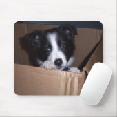 Baby Border Collie Muismat (Met muis)