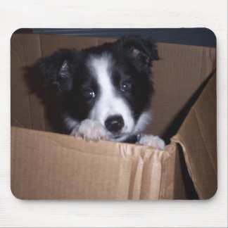 Baby Border Collie Muismat