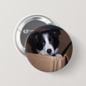 Baby Border Collie Ronde Button 5,7 Cm (Voorkant /achterkant)