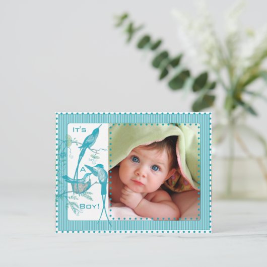 Baby Boy Aqua  Vogels Afbeelding Aankondiging (Staand voorkant)