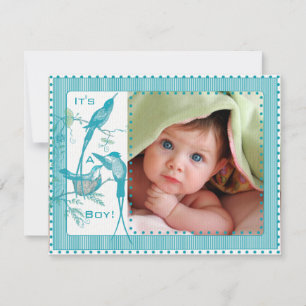 Baby Boy Aqua  Vogels Afbeelding Aankondiging