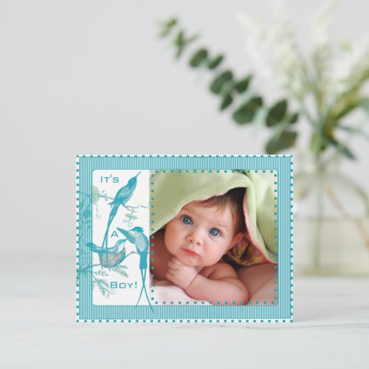 Baby Boy Aqua  Vogels Afbeelding Aankondiging (Staand voorkant)