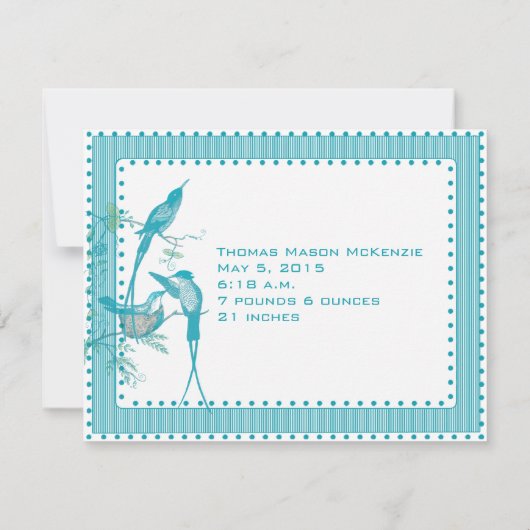 Baby Boy Aqua  Vogels Afbeelding Aankondiging (Achterkant)