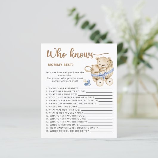 Baby Boy baby shower raden hoeveel teddyberen (Staand voorkant)