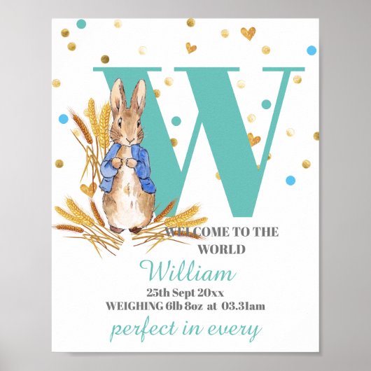 Baby Boy Birth Poster aanpassen (Voorkant)