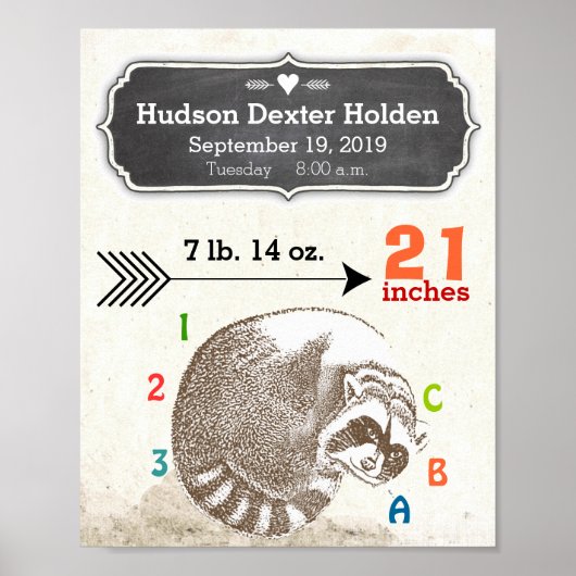 Baby Boy Birth Stats Cute Raccoon and Arrow Poster (Voorkant)