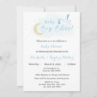 Baby Boy Bliss Stork Special Delivery Kaart