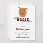 Baby Boy Dog Maroon Baby Aankondiging (Voorkant)