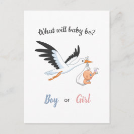 Baby Boy Meisje Ooievaar Geslacht Onthulling Party Briefkaart