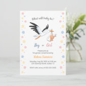 Baby Boy Meisje Ooievaar Geslacht Onthulling Party Kaart (Staand voorkant)